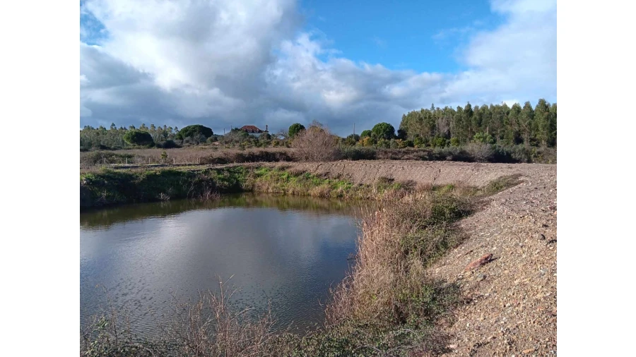 Terreno Agricola ou Rústico para Venda em Mação, Penhascoso e Aboboreira Foto 19