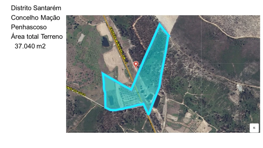Terreno Agricola ou Rústico para Venda em Mação, Penhascoso e Aboboreira Foto 22
