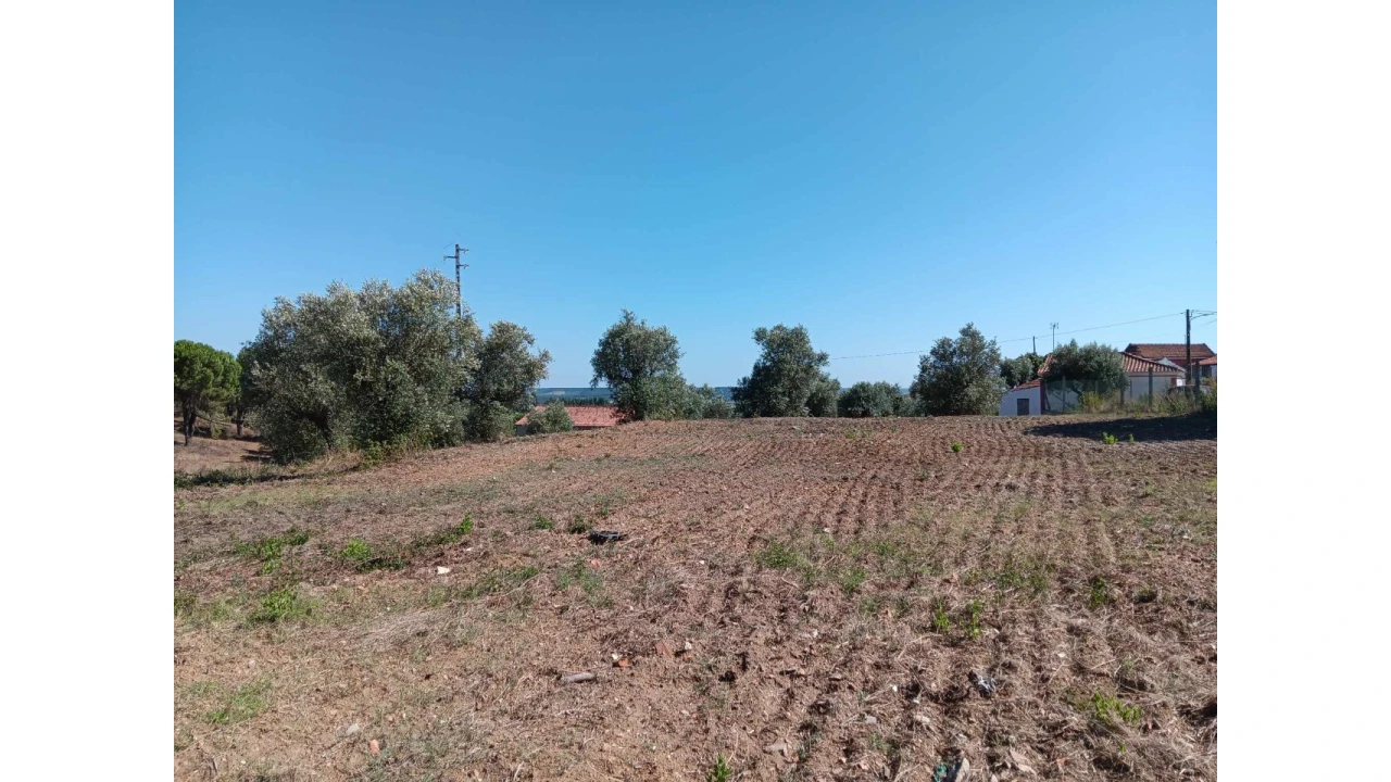 Terreno para Venda em Asseiceira Foto 5