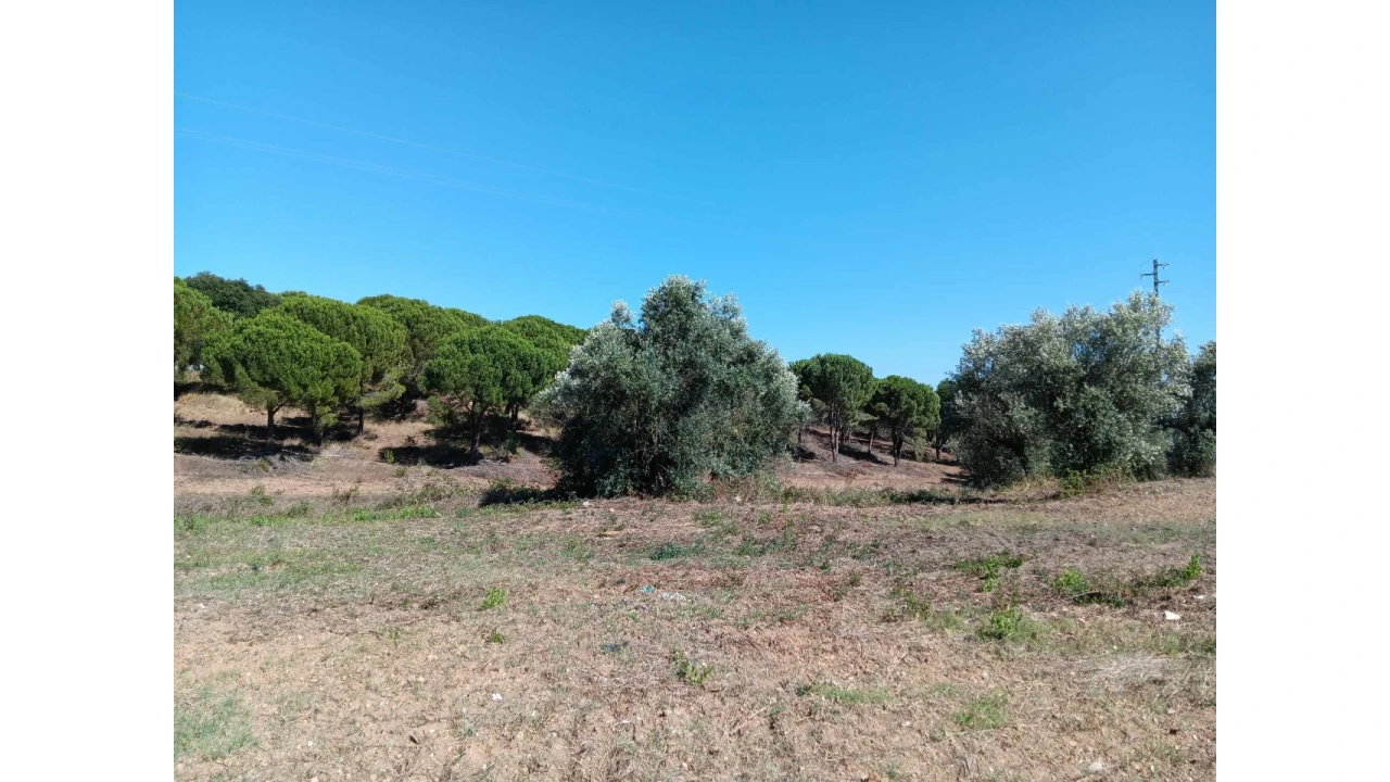 Terreno para Venda em Asseiceira Foto 9