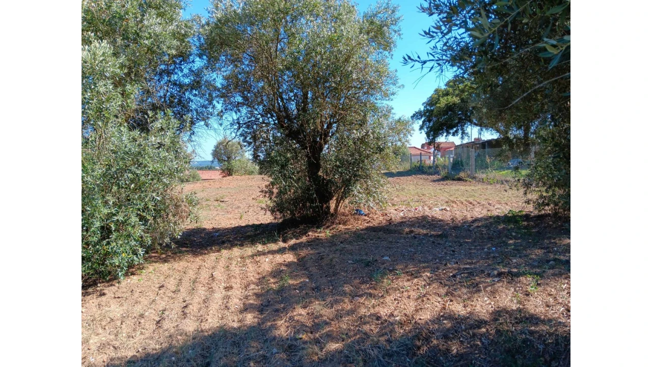 Terreno para Venda em Asseiceira Foto 10