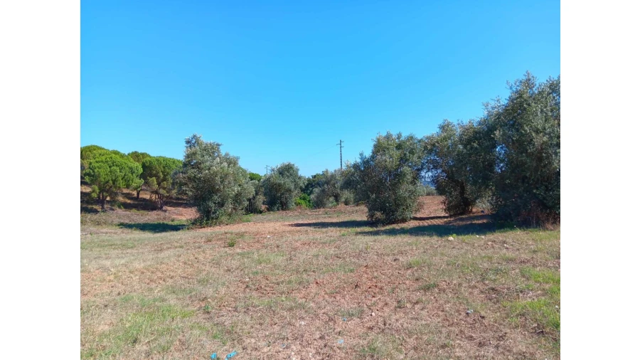 Terreno para Venda em Asseiceira Foto 8