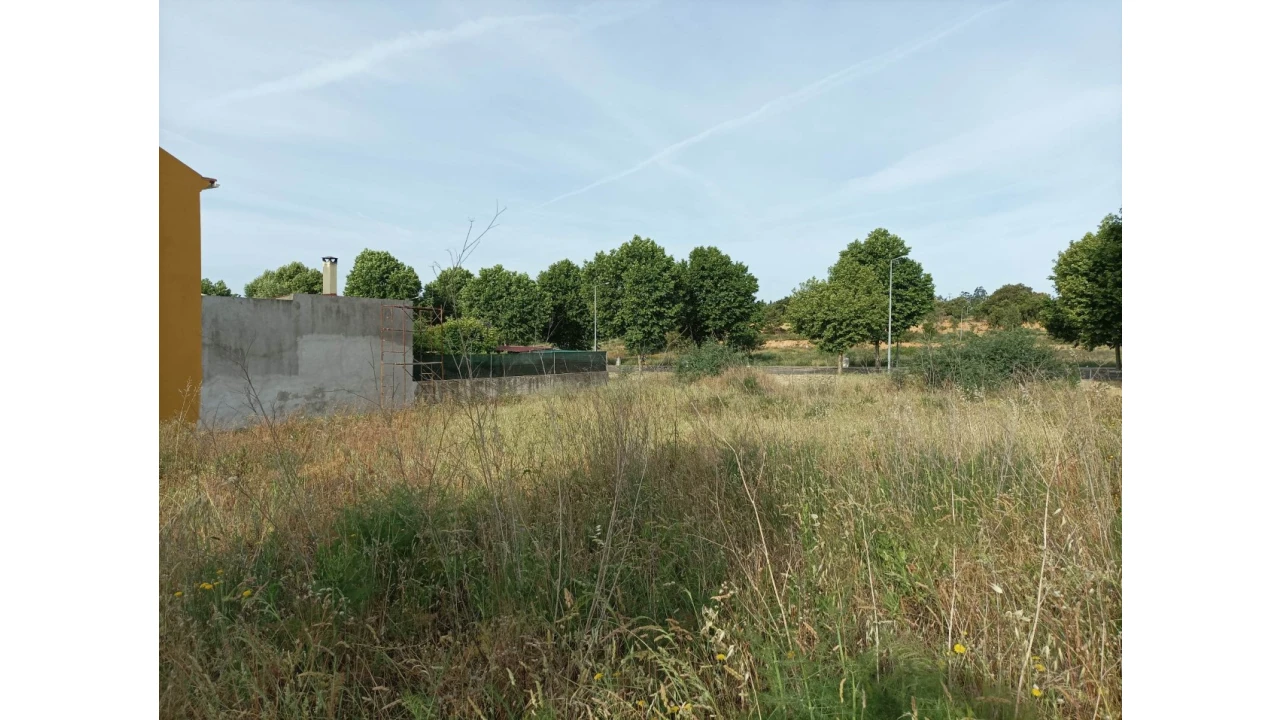 Terreno para Venda em Mação, Penhascoso e Aboboreira Foto 2