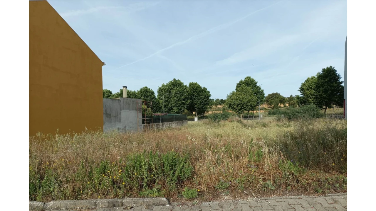 Terreno para Venda em Mação, Penhascoso e Aboboreira Foto 3