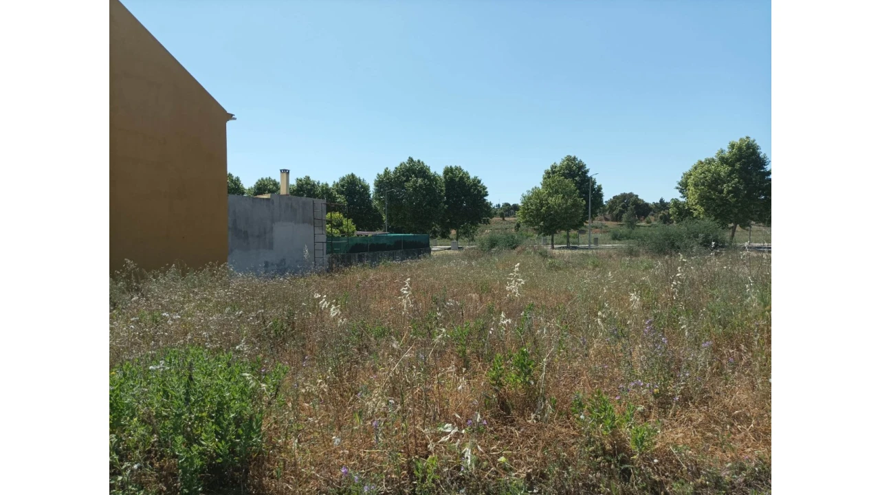 Terreno para Venda em Mação, Penhascoso e Aboboreira Foto 6