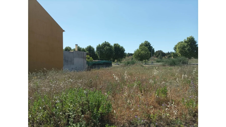 Terreno para Venda em Mação, Penhascoso e Aboboreira Foto 4