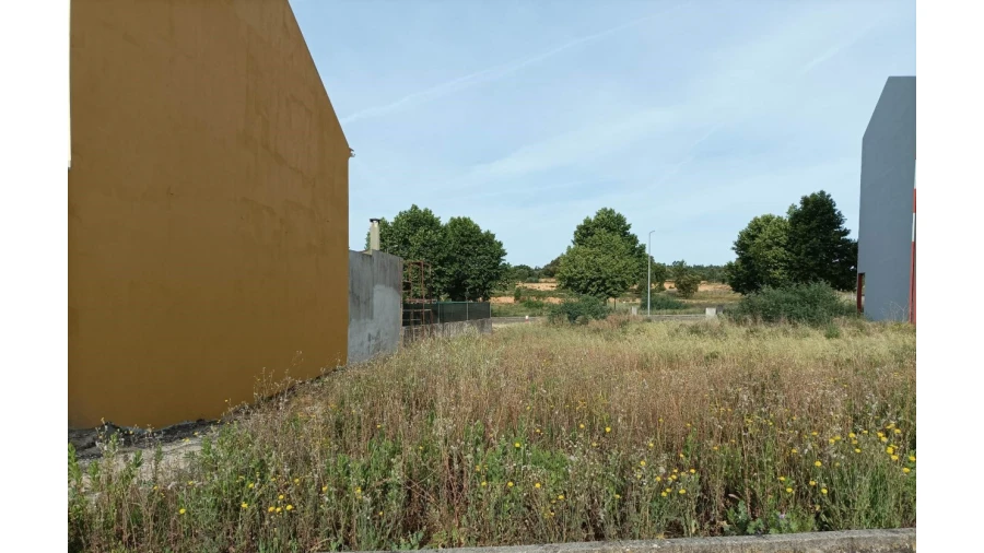 Terreno para Venda em Mação, Penhascoso e Aboboreira Foto 5