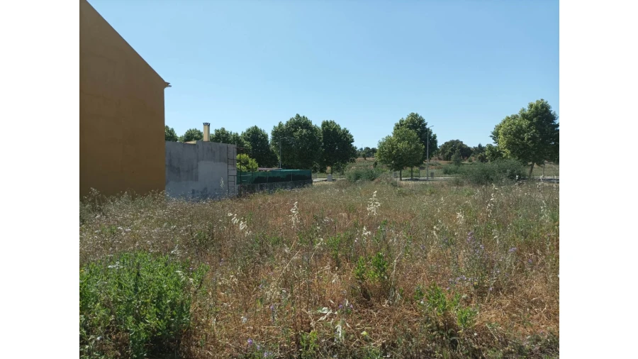 Terreno para Venda em Mação, Penhascoso e Aboboreira Foto 6
