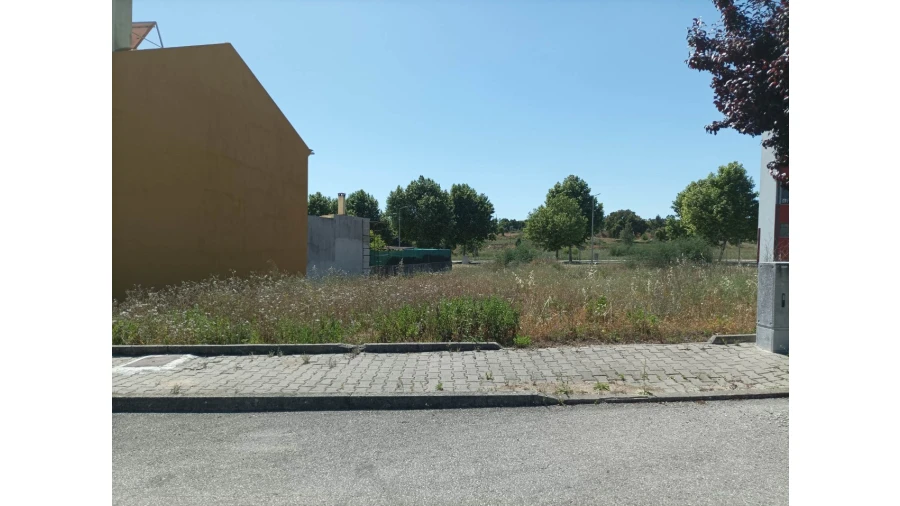 Terreno para Venda em Mação, Penhascoso e Aboboreira Foto 7