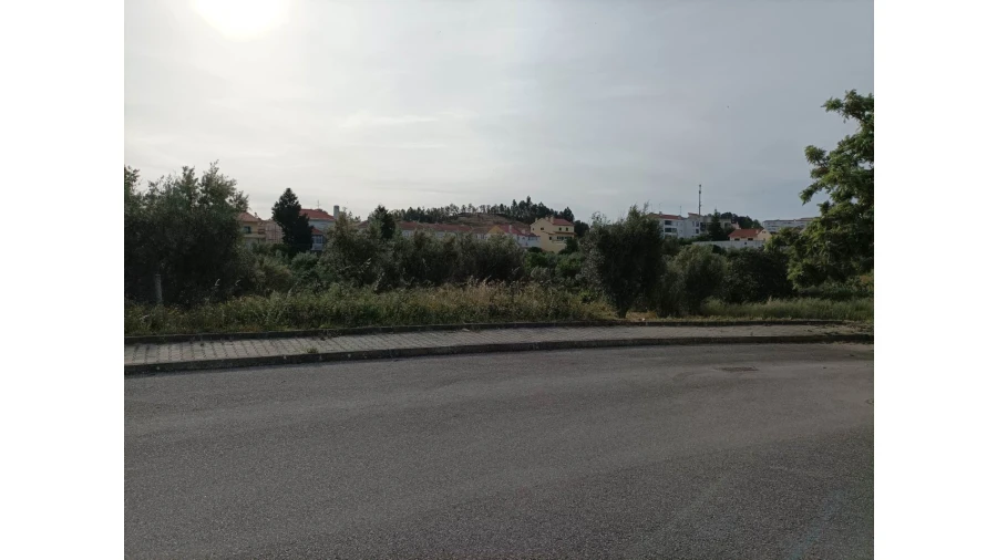 Terreno para Venda em Mação, Penhascoso e Aboboreira Foto 8