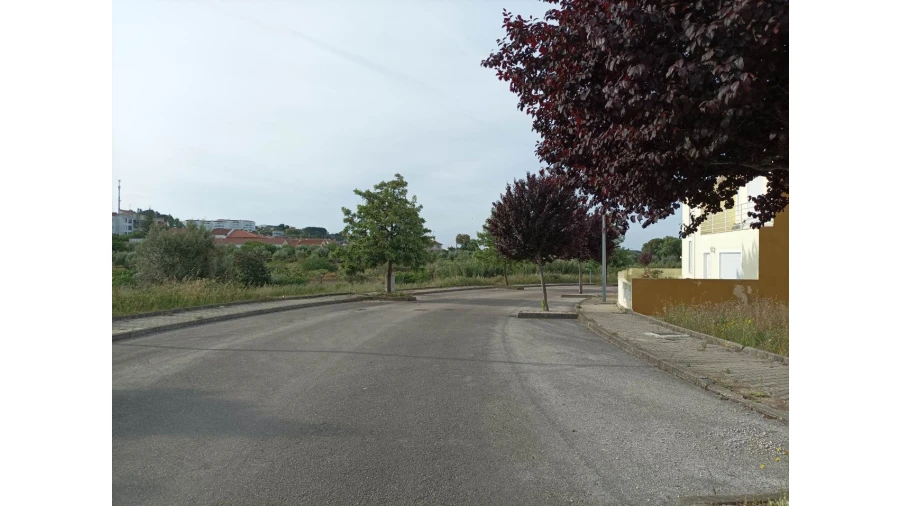 Terreno para Venda em Mação, Penhascoso e Aboboreira Foto 9