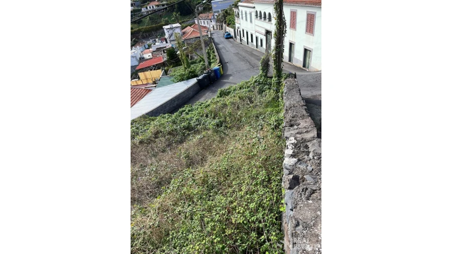 Terreno para Venda em Santo Antonio Foto 10