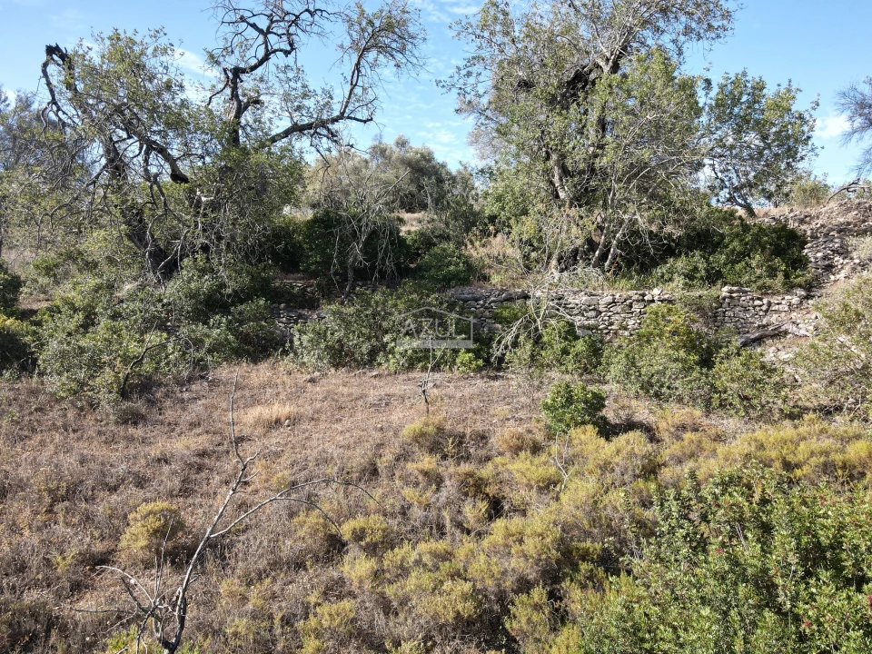 Terreno para Venda em Boliqueime Foto 9