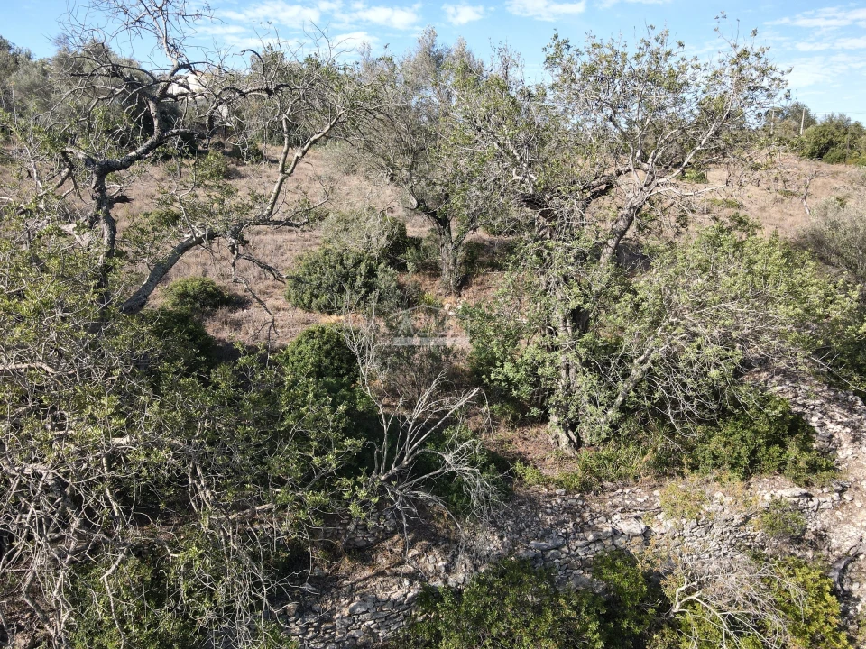 Terreno para Venda em Boliqueime Foto 6