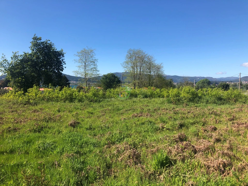 Terreno para Venda em Seixas Foto 8