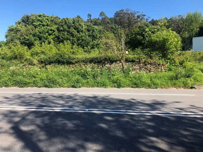 Terreno para Venda em Seixas Foto 12