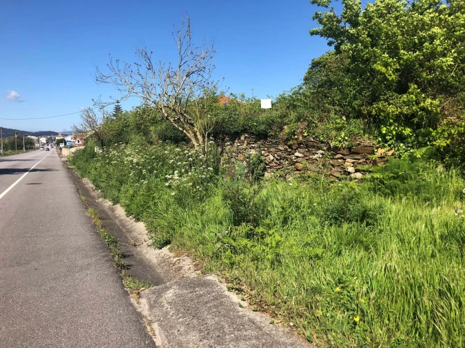 Terreno para Venda em Seixas Foto 11