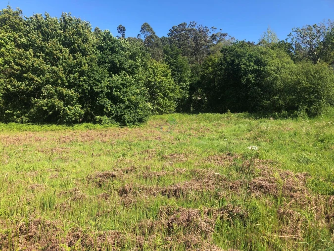 Terreno para Venda em Seixas