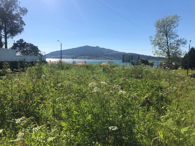 Terreno para Venda em Seixas Foto 7