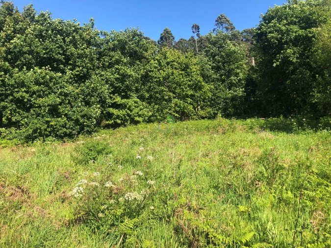 Terreno para Venda em Seixas Foto 6