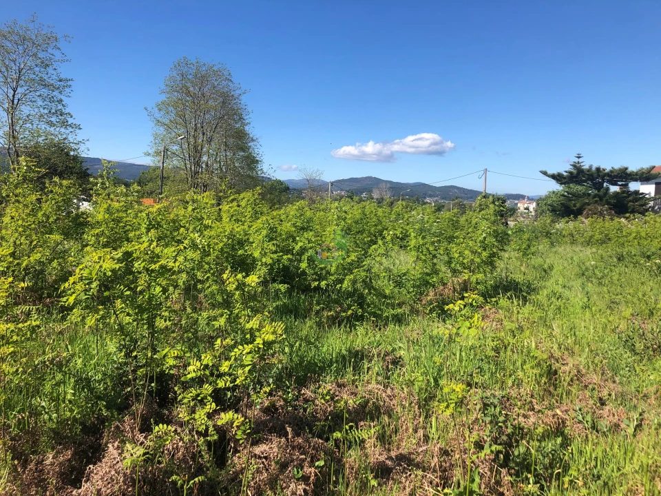 Terreno para Venda em Seixas Foto 5