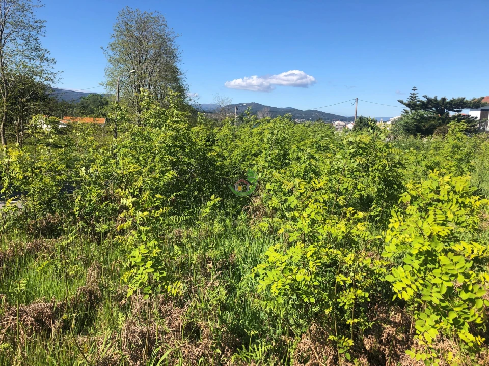 Terreno para Venda em Seixas Foto 2