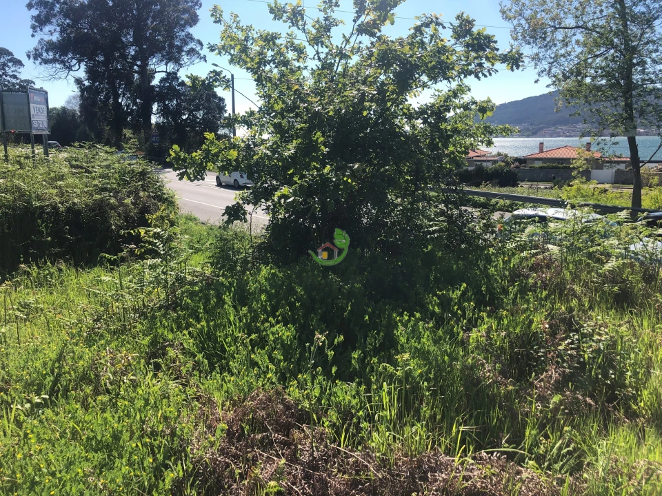 Terreno para Venda em Seixas Foto 4