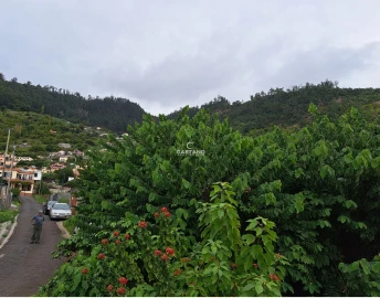 Moradia para Venda em Arco da Calheta