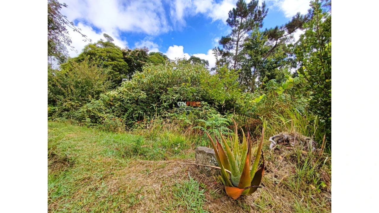 Terreno para Venda em Santo Antonio da Serra Foto 6