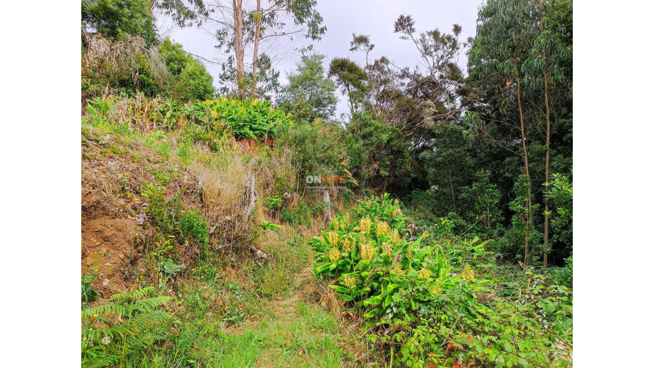 Terreno para Venda em Santo Antonio da Serra Foto 7