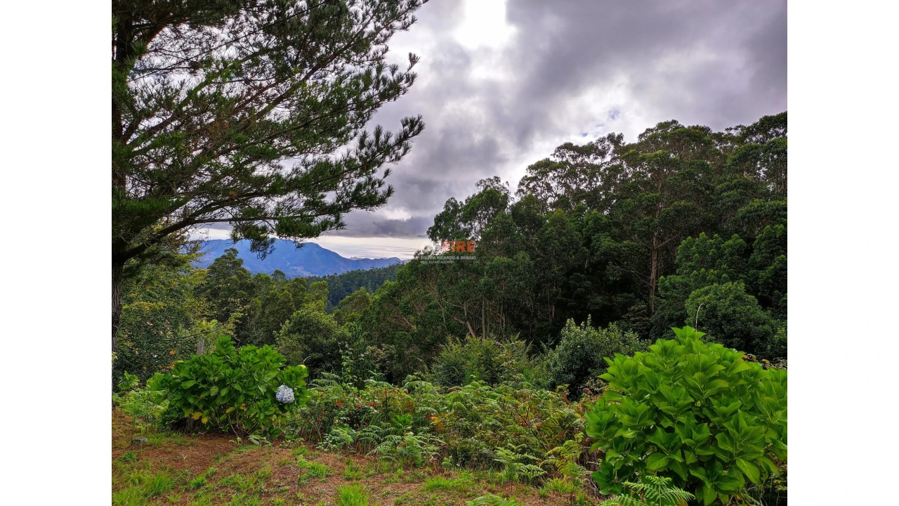 Terreno para Venda em Santo Antonio da Serra Foto 11