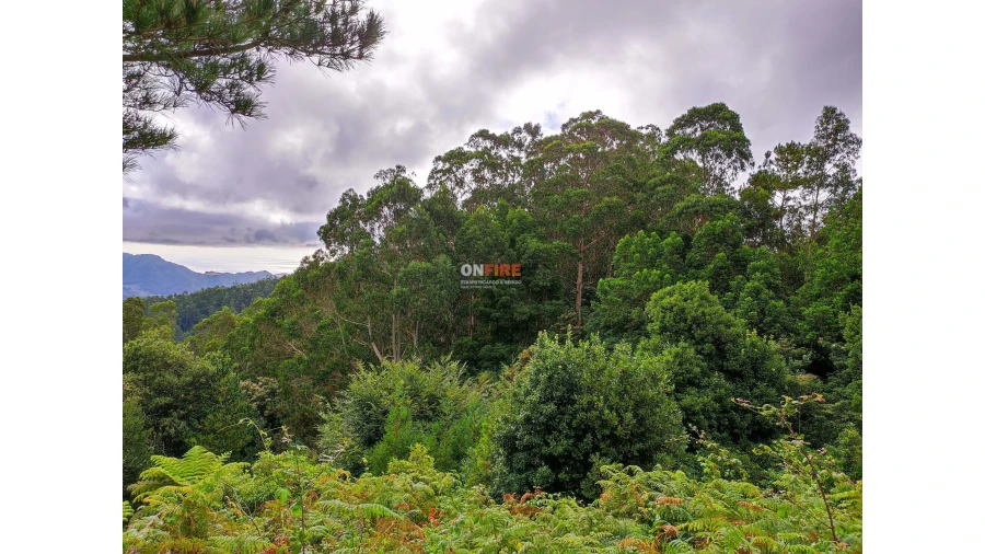Terreno para Venda em Santo Antonio da Serra Foto 9
