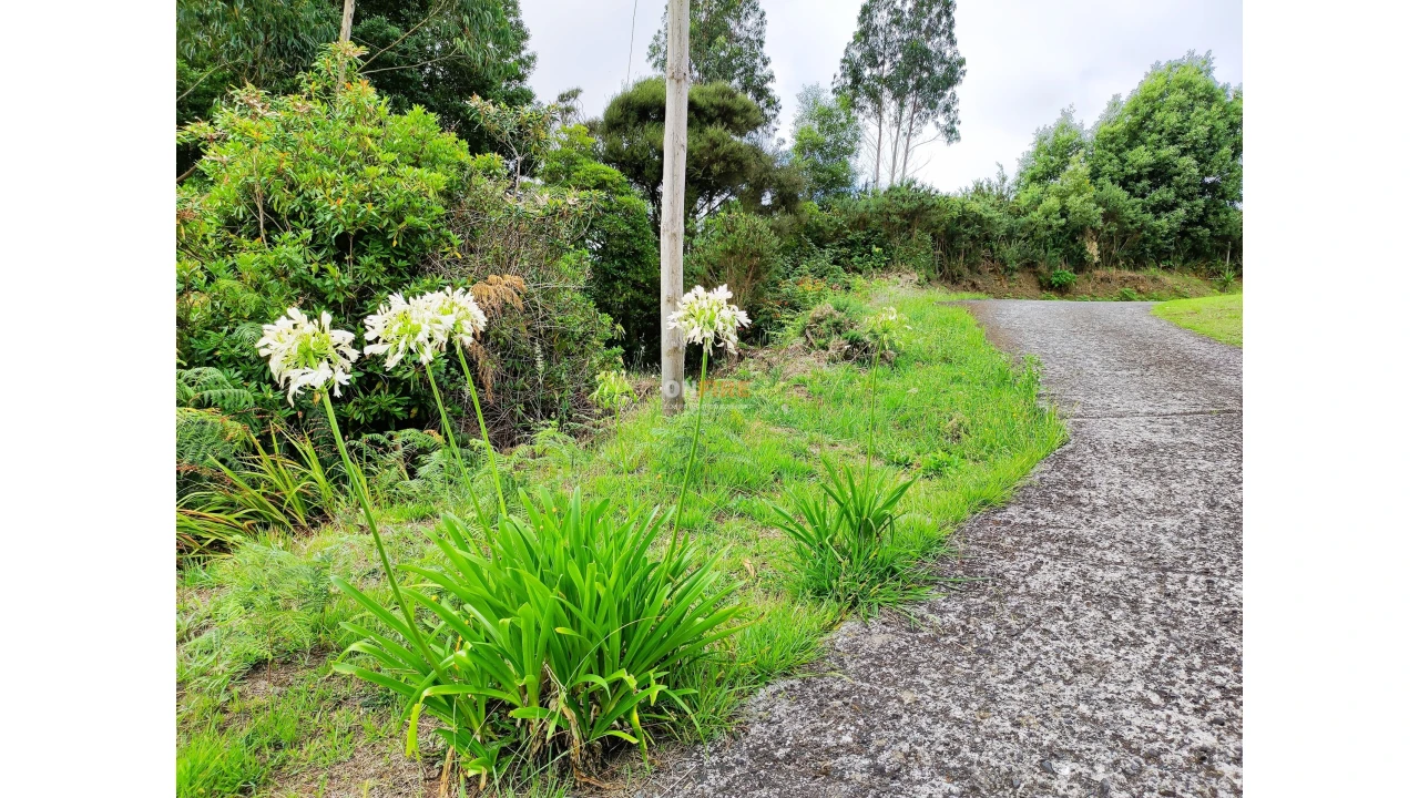 Terreno para Venda em Santo Antonio da Serra Foto 8