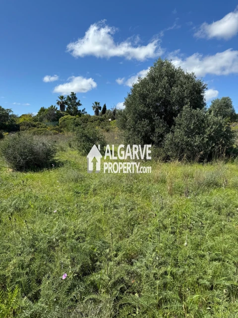 Terreno para Venda em Almancil