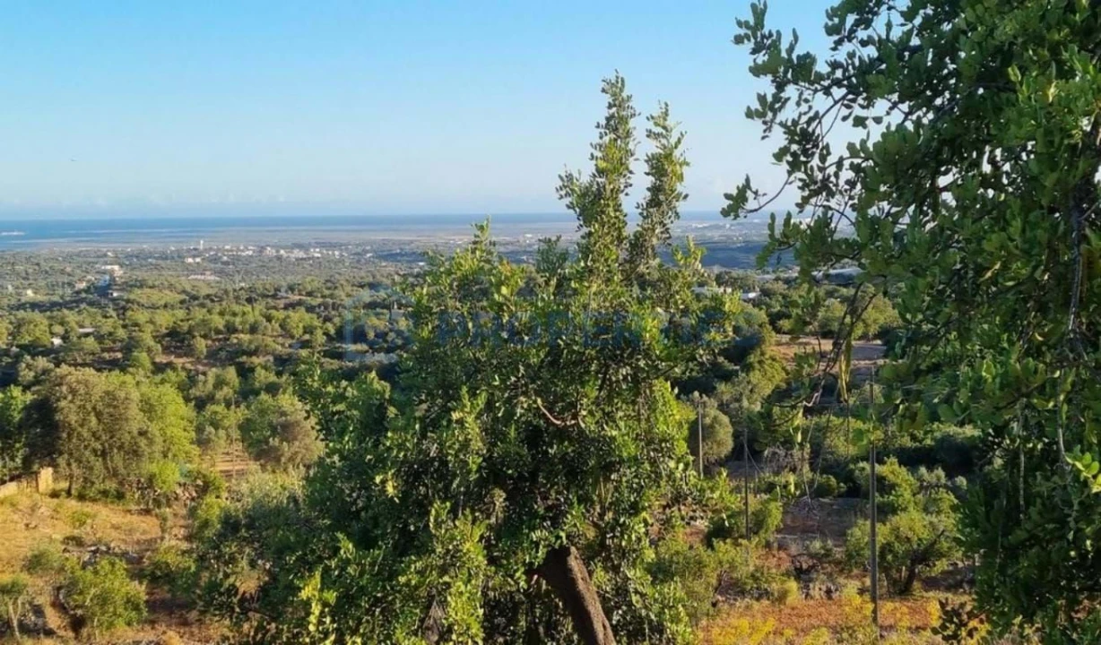Terreno para Venda em Faro (Sé e São Pedro) Foto 9