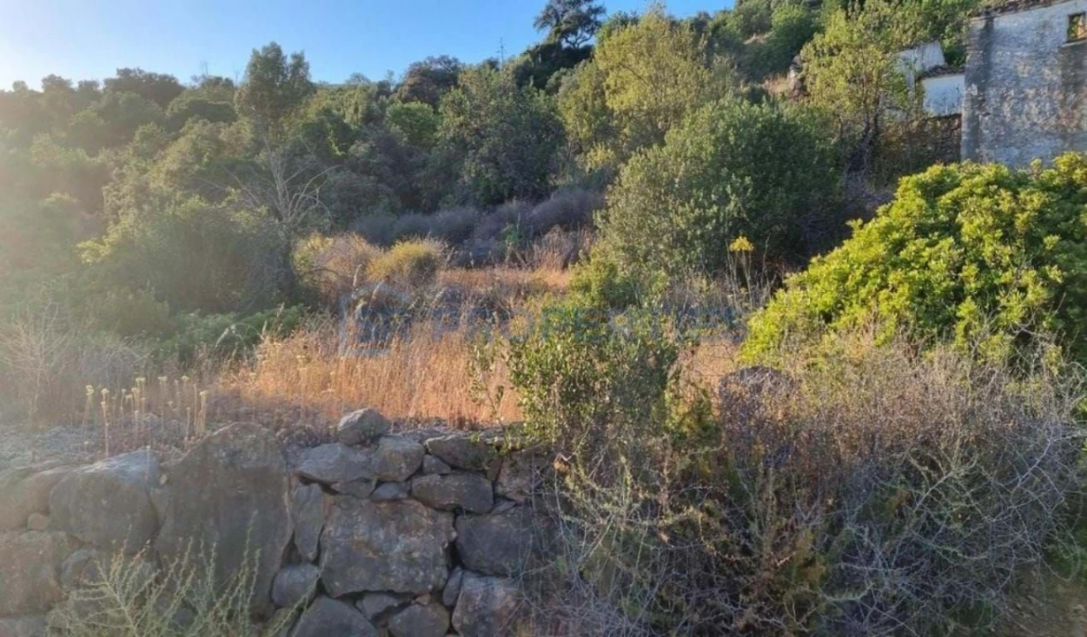 Terreno para Venda em Faro (Sé e São Pedro) Foto 5