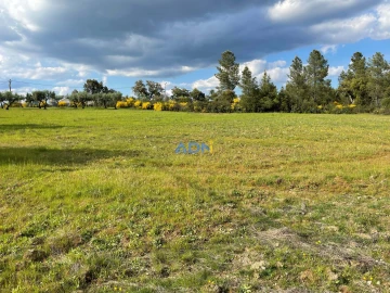 Terreno para Venda em Salgueiro do Campo