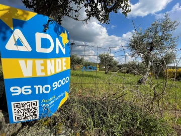 Terreno para Venda em Salgueiro do Campo