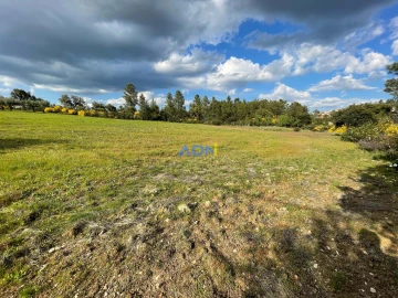 Terreno para Venda em Salgueiro do Campo