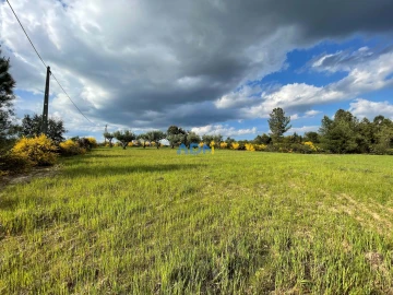 Terreno para Venda em Salgueiro do Campo