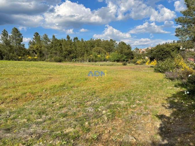 Terreno para Venda em Salgueiro do Campo Foto 12