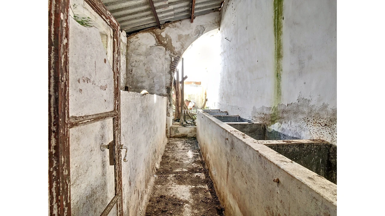 Prédio para Venda em Caia, São Pedro e Alcáçova Foto 8