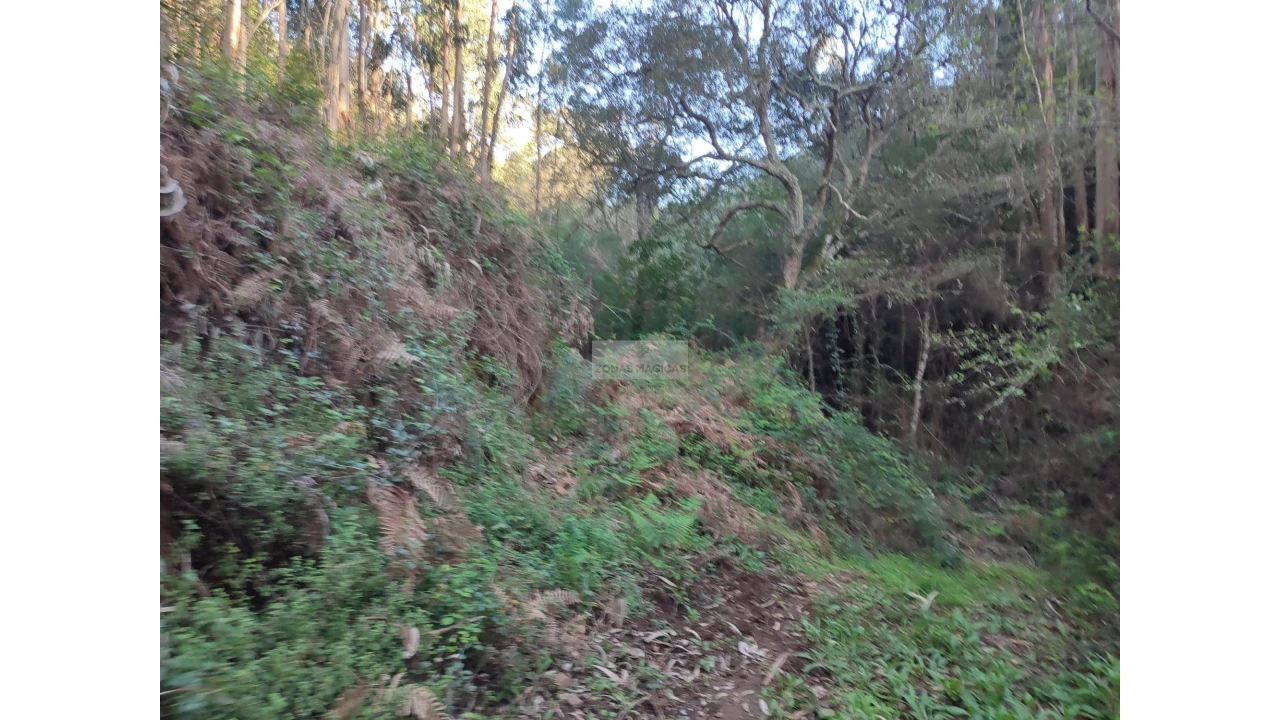 Terreno para Venda em Marmelete Foto 5