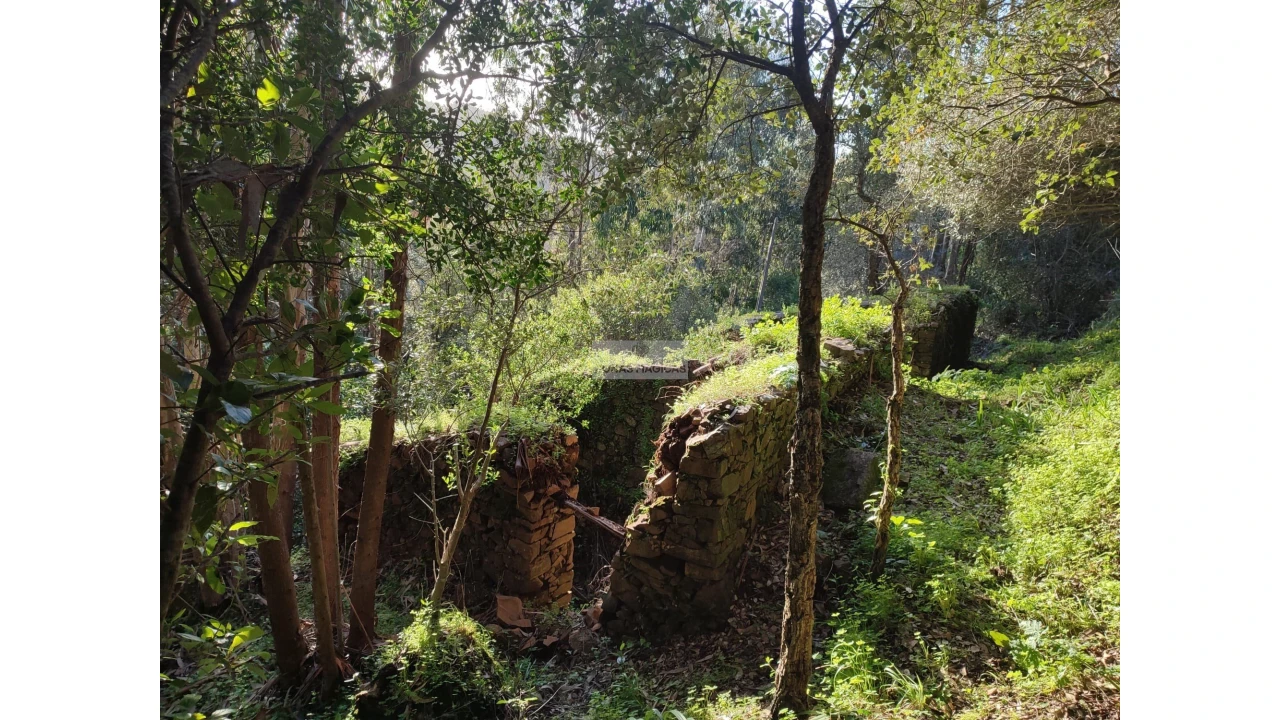 Terreno para Venda em Marmelete Foto 9