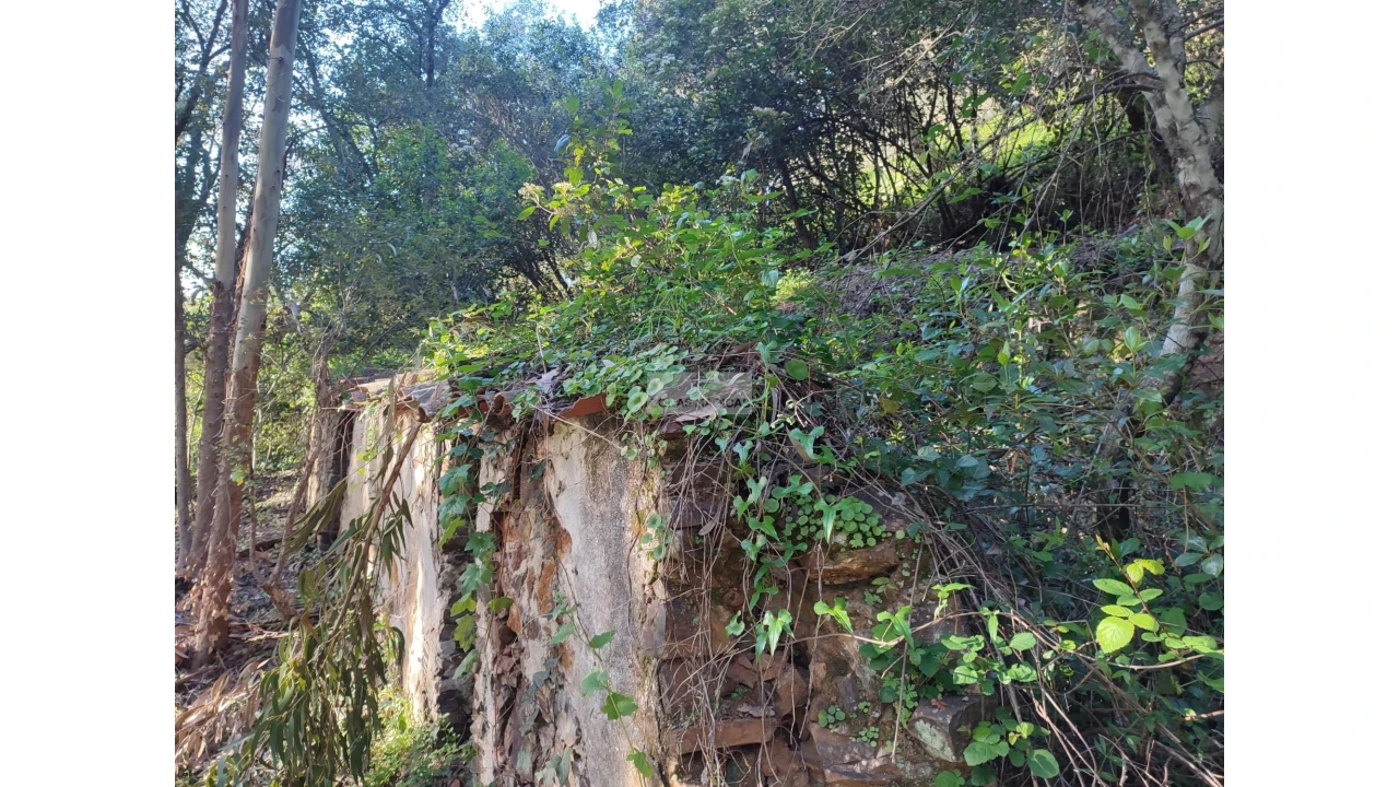 Terreno para Venda em Marmelete Foto 15