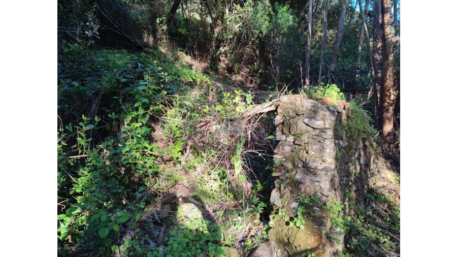 Terreno para Venda em Marmelete Foto 14