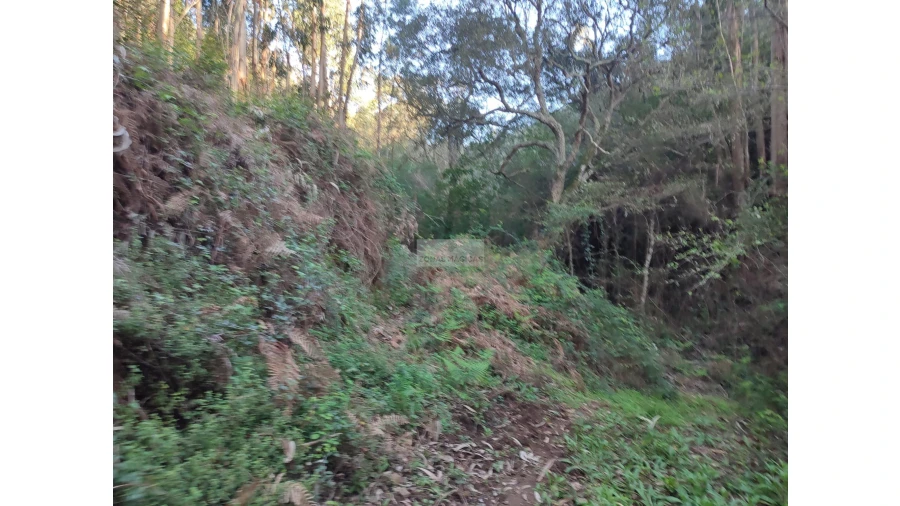 Terreno para Venda em Marmelete Foto 5