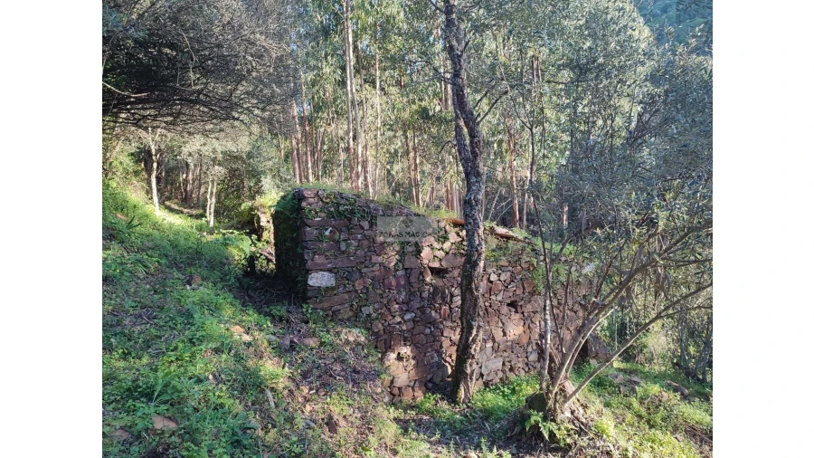 Terreno para Venda em Marmelete Foto 2