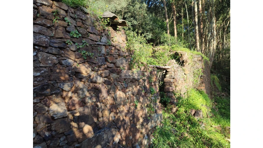 Terreno para Venda em Marmelete Foto 3