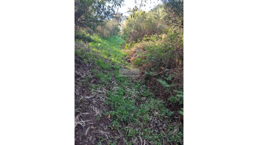 Terreno para Venda em Marmelete Foto 4